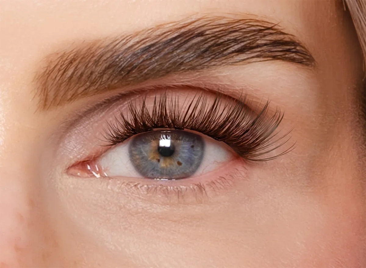 Soft Brown Edition – Classic DIY