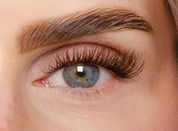 Soft Brown Edition – Classic DIY