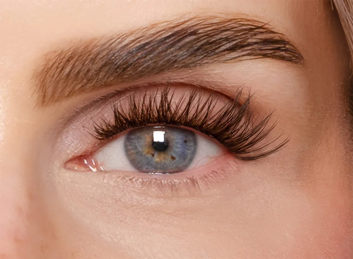 Soft Brown Edition – Classic DIY