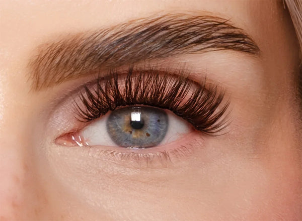 Soft Brown Edition – Classic DIY