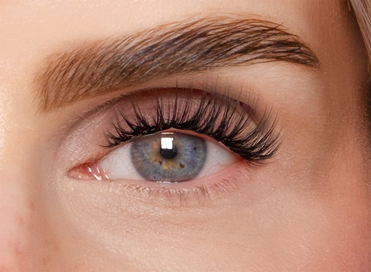 All You Need Is Lashes – Valentines Bundle 2026 (Classic DIY)
