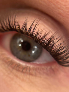 Cat-Eye Edition - Mini Boxes